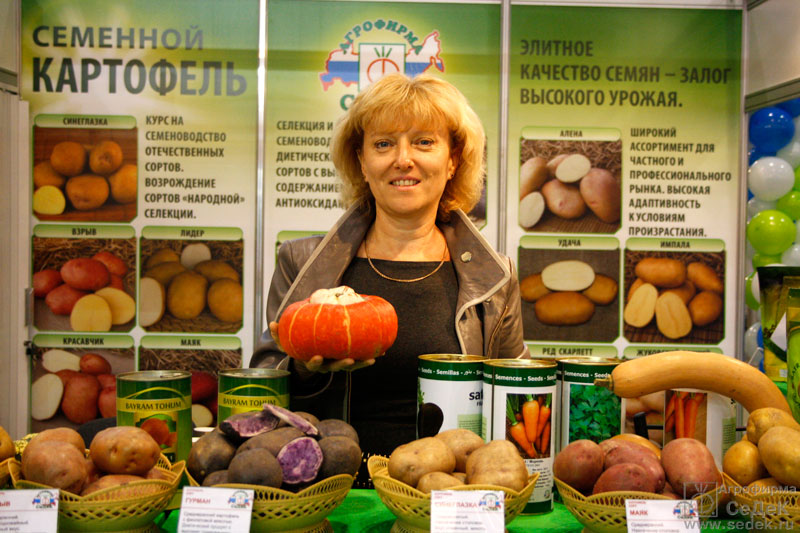 Седек Розница Магазин Москва Адреса Магазинов