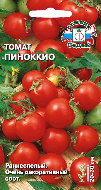 Томат Пиноккио