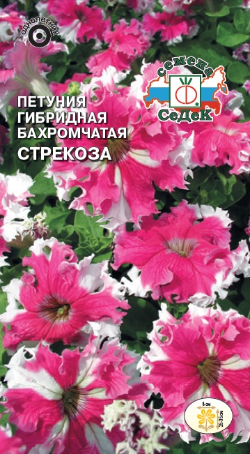 Петуния Стрекоза гибридная бахромчатая
