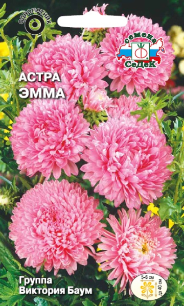 Астра Эмма