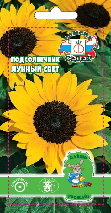 Подсолнечник Лунный свет (лимонно-желтый)