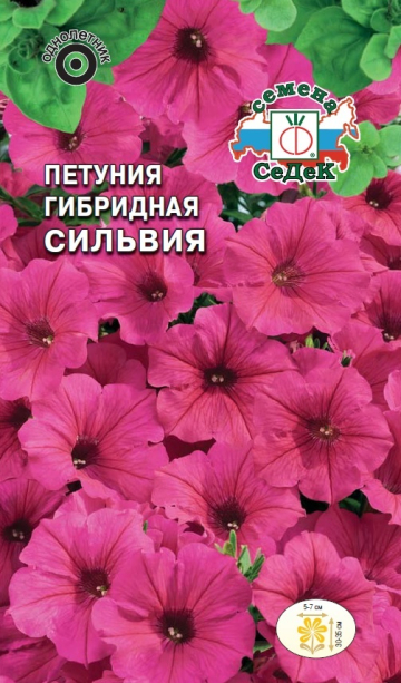 Петуния Сильвия гибридная