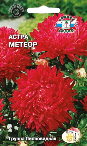 Астра Метеор
