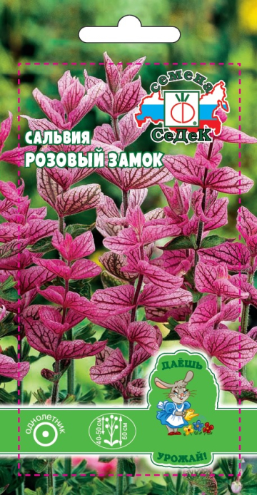 Сальвия Розовый замок (хорминовая, розовая)