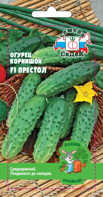 Огурец-корнишон Престол F1