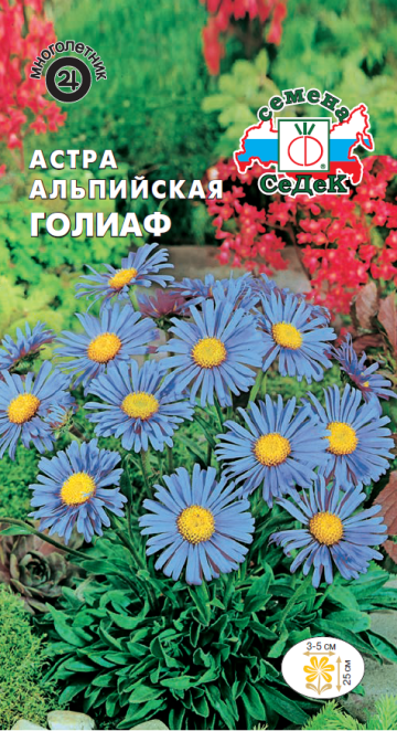 Астра Голиаф