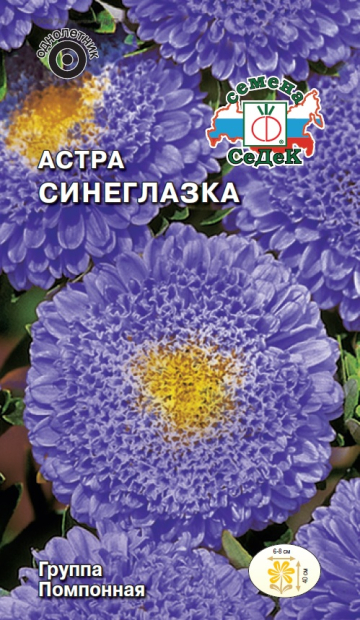 Астра Синеглазка
