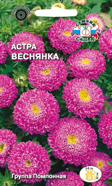 Астра Веснянка