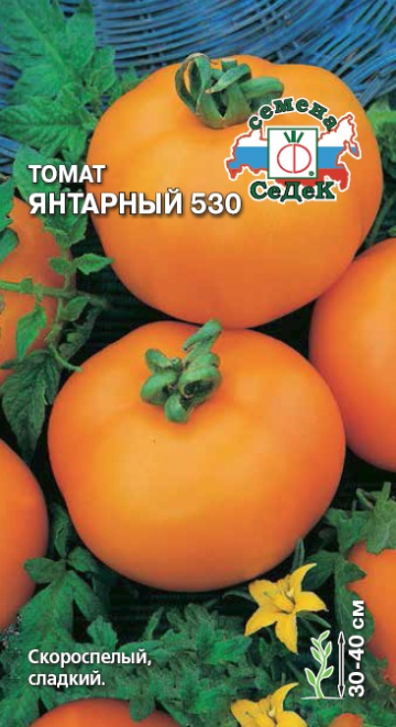 Томат Янтарный 530