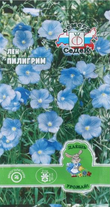 Лён Пилигрим (многолетний, нежно-голубой)