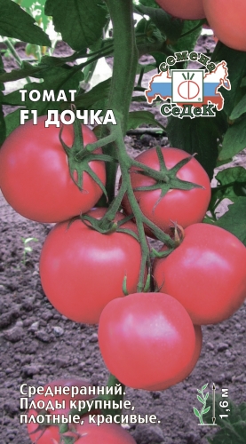 Томат Дочка F1