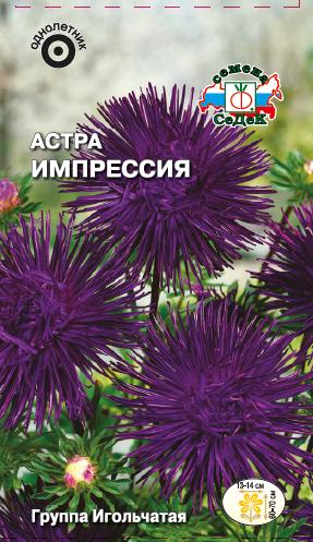 Астра Импрессия