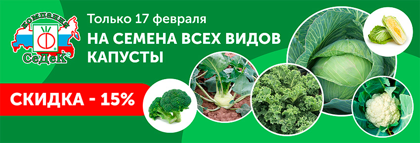 Фирма седек почтой. Семена почтой СЕДЕК. День капусты 17 февраля. СЕДЕК интернет-магазин официальный. Скидка на семена капусты.