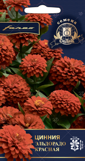 ������ ��������� �������